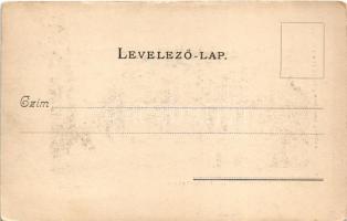 Budapest VI. M. kir. operaház. Divald Károly fénynyomata 200. sz. (kis szakadás / small tear)