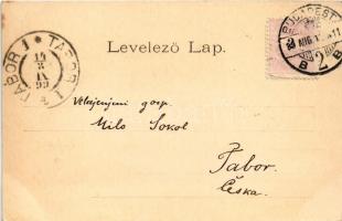 1899 Budapest, Lánchíd. Anton Ganz (EK)