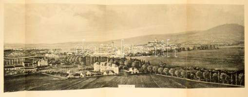 Nyitra Vármegye. Magyarország vármegyéi és városai. Főszerk.: Borovszky Samu. Bp., 1899, 736 p., 34 ...