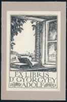 Zádor István (1882-1963): Ex libris Dr Györgyey Adolf. Klisényomat, papír, jelzett a nyomaton, lap teteje kartonra kasírozva, 10×6,5 cm