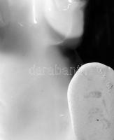 Lippelsdorf jegesmedve, jelzett, hibátlan, 15x9 cm