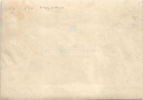 Budapest XIV. Városliget, a Fővárosi Nagycirkusz és környéke látképe, légi felvétel. photo (16,9 x 1...