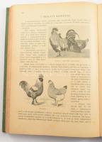 Faylné Hentaller Mária: A háztartás kézikönyve. Idegen kútfők felhasználásával szerk.: - -. A nyolca...