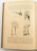 Faylné Hentaller Mária: A háztartás kézikönyve. Idegen kútfők felhasználásával szerk.: - -. A nyolca...