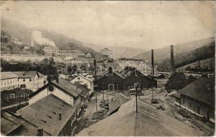 1918 Anina, Stájerlakanina, Stájerlak, Staier, Steierdorf; vasgyár, iparvasút. Julius Engelmann kiadása / ironworks, iron factory, industrial railway (EK)