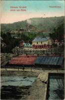 1910 Anina, Stájerlakanina, Stájerlak, Staier, Steierdorf; Thinnfeld akna. Hollschütz kiadása / mine, adit (EK)