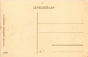 Budapest XI. Gellérthegy, Vízművek felett Gyopár utcai két villa, Citadella. A tornyos villa a Svéd ...