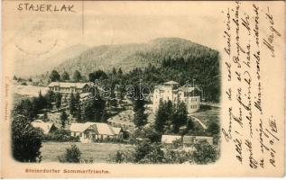 1901 Stájerlak, Steierlak, Stájerlakanina, Staier, Steierdorf, Anina; Steierdorfer Sommerfrische / üdülőtelep. C. Kehrer kiadása / holiday resort (EK)