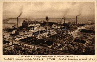 Budapest IV. Újpest, Dr. Keleti és Murányi vegyészeti gyár rt. telepe