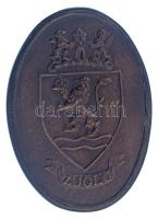 DN "Zugló" egyoldalas öntött bronz emlékplakett eredeti dísztokban (78x110mm) T:XF