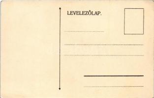 Budapest, A Magyar Királyi Folyam- és Tengerhajózási Rt. Budapest-Dömösi vonala, térkép / Hungarian ...
