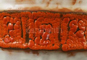 B. Várdeák Ildikó (1929? 2013): Nagy kaspó. Kézzel festett, jelzett, hibátlan d: 25 cm, m. 21 cm