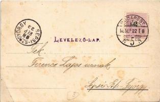 1898 Dr. Heidlberg féle Tinctoral célszerűbb, tartósabb és olcsóbb minden olajfestéknél / Hungarian ...