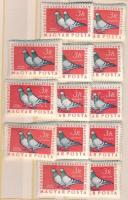 1957 Magyarországi galambfajták 13 db sor (10.400)