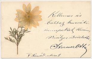 Kolozsvár, Cluj; Ifj. L. Bodor László növény- és virágpreparáló műintézete, valódi préselt virágos levelezőlap gyára reklám / Ifj. L. Bodor László's laboratorium für Blumenpreparate / Laboratory for preparation of flowers, advertising card with dried real flower (EK)