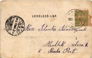 1903 Harta, Kisharta, Kis-Harta; Evangélikus templom, hartai népviselet. Molnár Gyula kiadása (kopot...