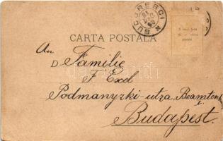1899 Bucharest, Bukarest, Bucuresti, Bucuresci; Atheneul, Theatru National, Domna Balasa / concert h...