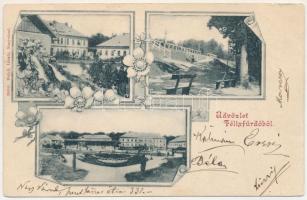 1901 Félixfürdő, Baile Felix; forrás, fürdő. Helyfi László kiadása, szecessziós-virágos keret / spa, mineral spring source, baths. Art Nouveau, floral frame (kis szakadások / small tear)