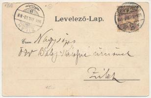 1901 Félixfürdő, Baile Felix; forrás, fürdő. Helyfi László kiadása, szecessziós-virágos keret / spa,...