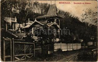 1911 Miskolc, borpincék az Avason. Divald Károly fia 16. (EB)