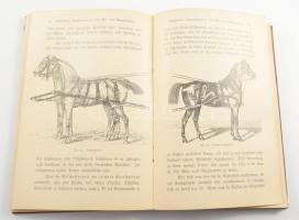 Ratgeber beim Pferdekauf. Für Landwirte, Offiziere und jeden Pferdehalter. Bearbeitet von Stallmeist...