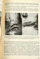 Vadász Elemér: Földtörténet és földfejlődés. Bp., 1957., Akadémiai Kiadó, 847 p. + 30 t. Gazdag feke...