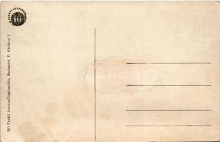 Zólyom, Zvolen; vár, gőzmozdony, vonat. Vasúti levelezőlapárusítás 350. / castle ruins, locomotive, ...