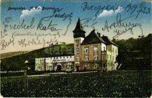 1919 Beregszász, Beregovo, Berehove; M. Kir. borpince / wine cellar (kopott sarkak / worn corners)