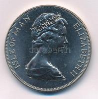 Man-szigetek 1975. 25p Cu-Ni "Man-szigeti macska / II. Erzsébet" T:UNC,AU
Isle of Man 197...