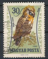 1962 Madarak (IV.) - Ragadozó madarak 30f látványos, eddig ismeretlen színelcsúszással