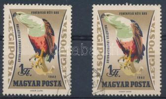 1962 Madarak (IV.) - Ragadozó madarak 1Ft a piros szín látványos, eddig nem ismert színelcsúszásával + támpéldány