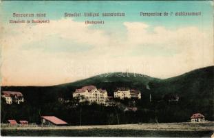 1911 Budakeszi, Erzsébet királyné szanatórium (EK)