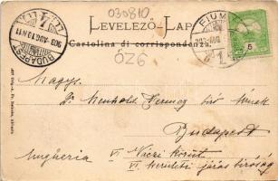 1903 Fiume, Rijeka; Veduta generale / Totalansicht / general view (EK)