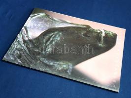 Csíkszentmihályi Róbert szobrászművész kiállítása a szolnoki Mol Galériában. (Dedikált.)
(Szentendr...