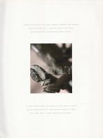 Csíkszentmihályi Róbert szobrászművész kiállítása a szolnoki Mol Galériában. (Dedikált.)
(Szentendr...