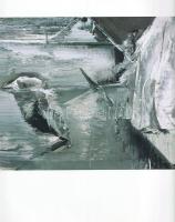 Kokas Ignác festőművész gyűjteményes kiállítása a Műcsarnokban, 2006. június 8 - 2006. július 16. kö...