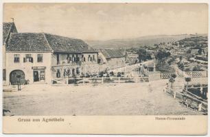 1917 Szentágota, Agnetheln, Agnita; Homm Promenade / tér, Friedrich Essigmann üzlete és saját kiadása / street and shop (fl)