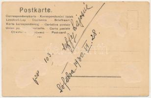 1930 Sófalva, Sarata, Salz (Beszterce, Bistrita); Lázár kastély / castle (Rb)