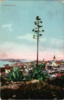 1911 Mali Losinj, Lussinpiccolo; (EK)