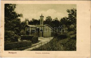 1913 Medgyes, Mediasch, Medias; Fenyves mulatóhely. Wendler Ferenc kiadása / café, inn (fl)