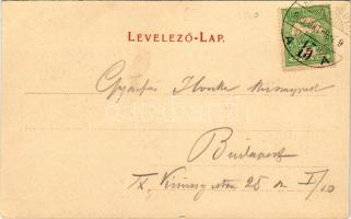 1909 Medgyes, Mediasch, Medias; Steingässer-Tor / Kaputorony. Fritz Guggenberger kiadása / gate towe...