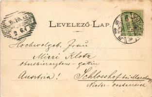 1903 Nagyvárad, Oradea; Brémer tér a Szigligeti színházzal, üzletek / square with theatre, shops (fl...