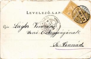 1900 Szeged, Tisza part, Milkó palota. Walter Haertel No. 209. (vágott / cut)