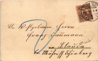 1901 Budapest, látkép, Lánchíd, Magit híd, Margitsziget, gőzhajók