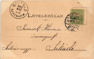 1902 Debrecen, Nagytemplom, piac. Csáthy Ferenc kiadása (EB)