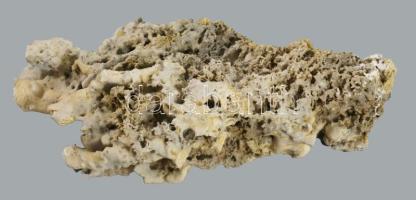 Nagyméretű fehér korall, h: 25 cm