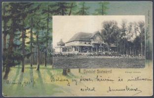 Szatmárnémeti City Kiosk litho