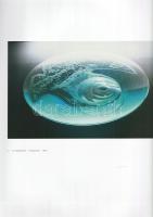 Lugossy Mária. (Dedikált képzőművészeti album.)
(Budapest, 2004). (Műcsarnok - Mester Nyomda). [144...