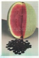 Gia Edzgverarde: Self-Portrait in General Terms. (A művész által dedikált példány.) [Gia Edzgverarde...