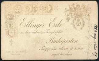 1889 ivádi Ivády Margit (1870-1900), Ivády Miklós főszolgabíró és Hertelendy Hermina lányának portré...